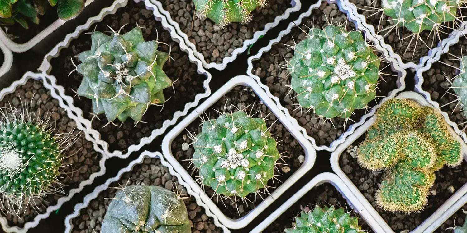 How to set up a Vertical Planter