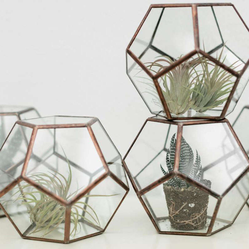 Terrariums