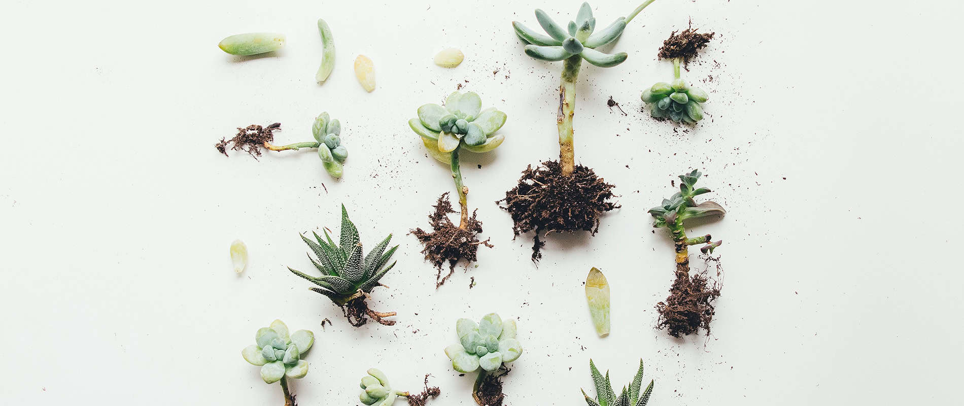 Bespoke home garden theme kits