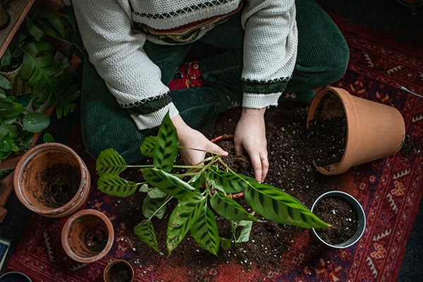 Bespoke home garden theme photo album 1