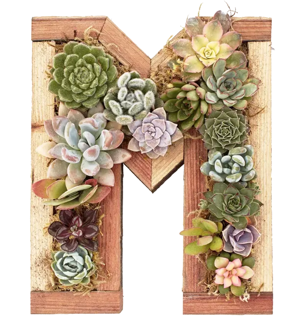 Bespoke home garden theme product kits