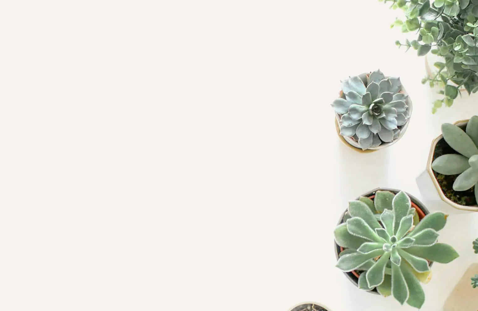 Bespoke home garden theme product slide 1