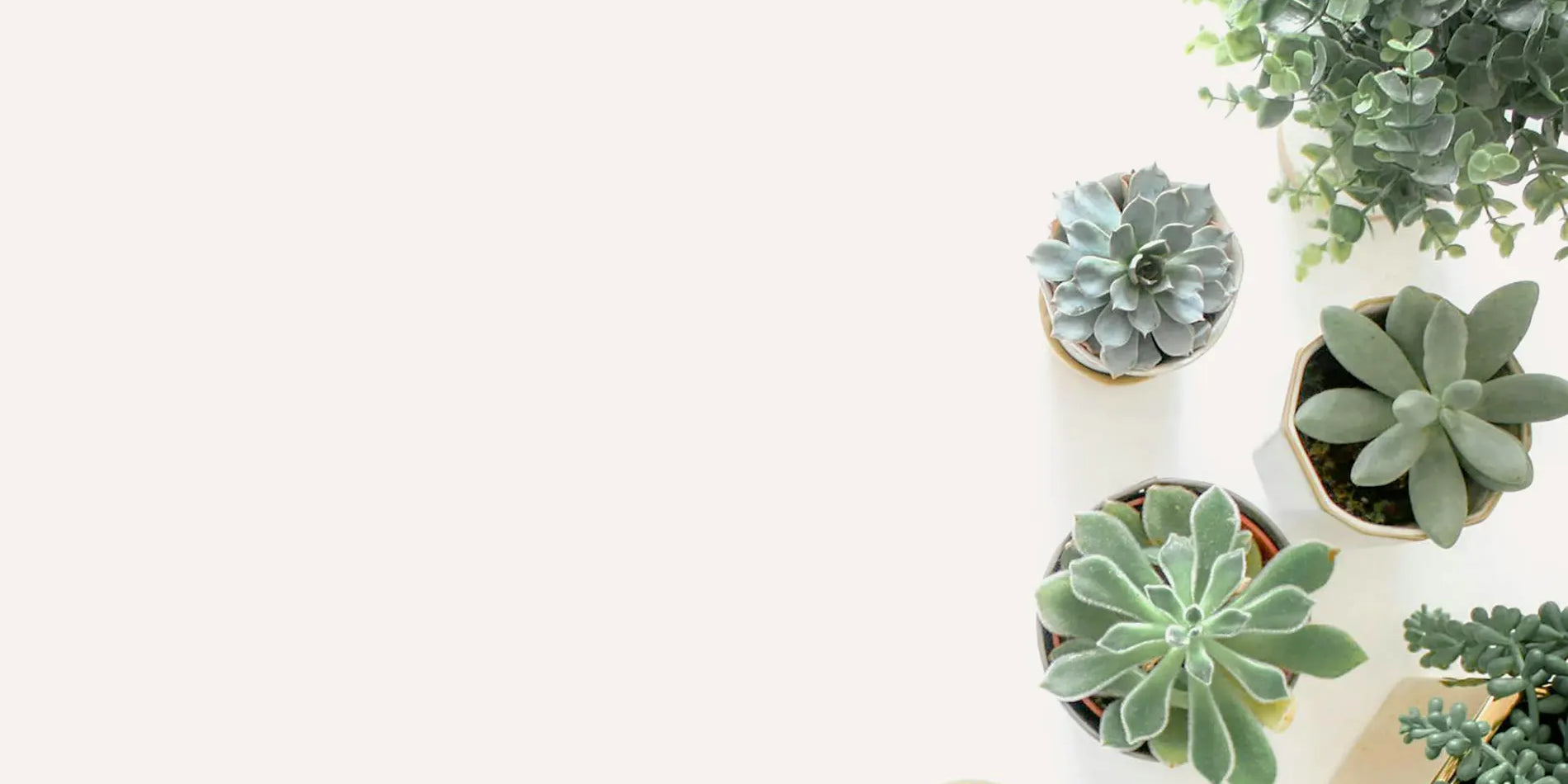 Bespoke home garden theme product slide 1