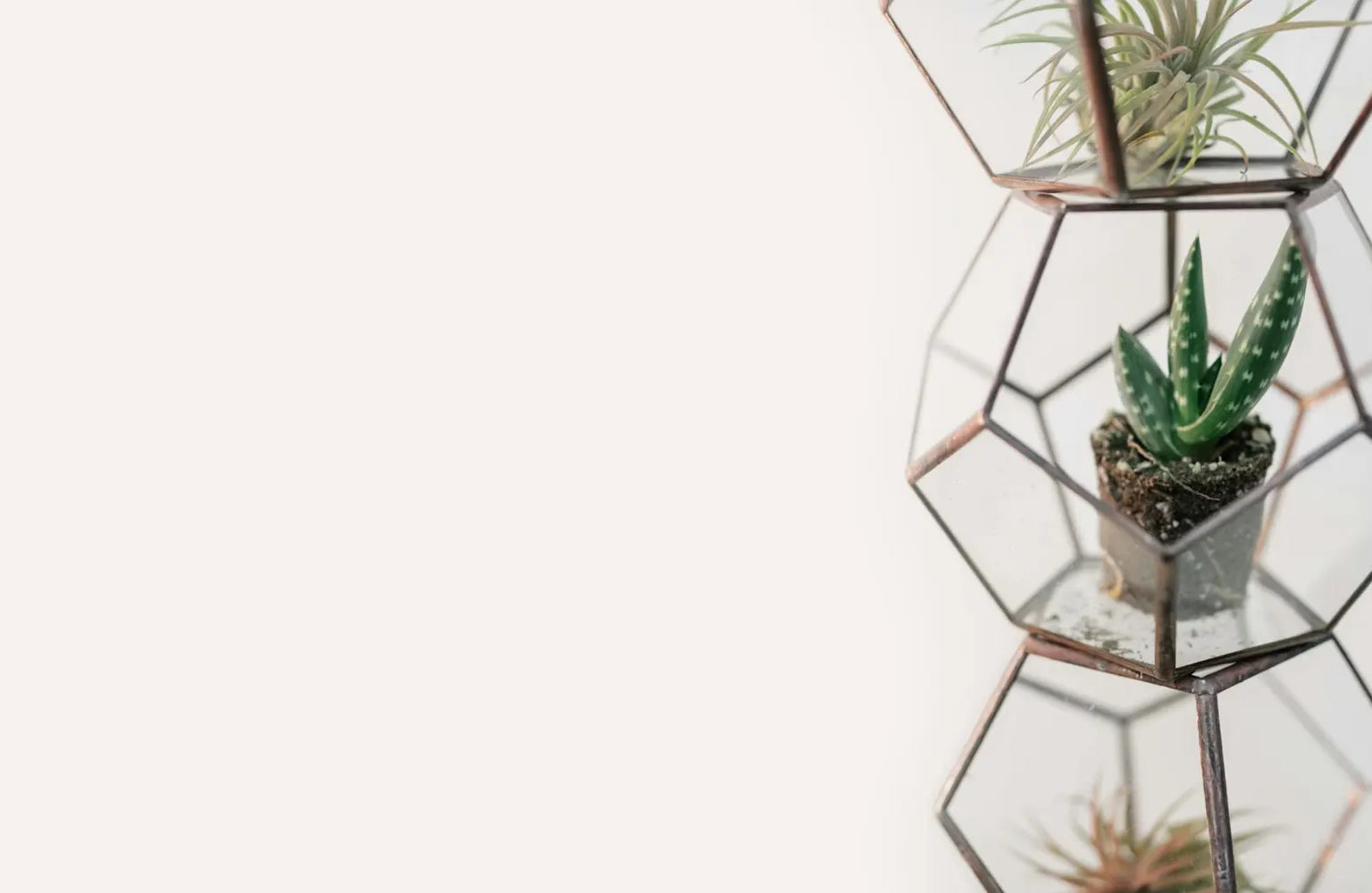 Bespoke home garden theme product slide 2