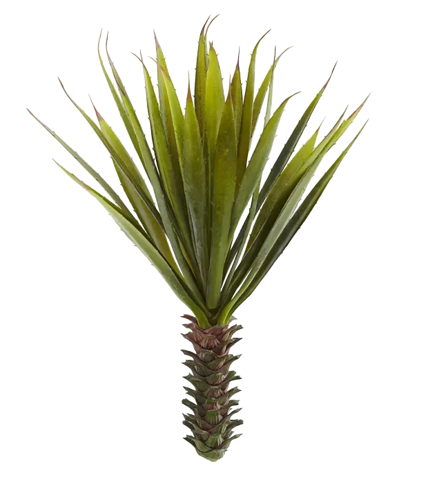 Bespoke home garden theme product succulent