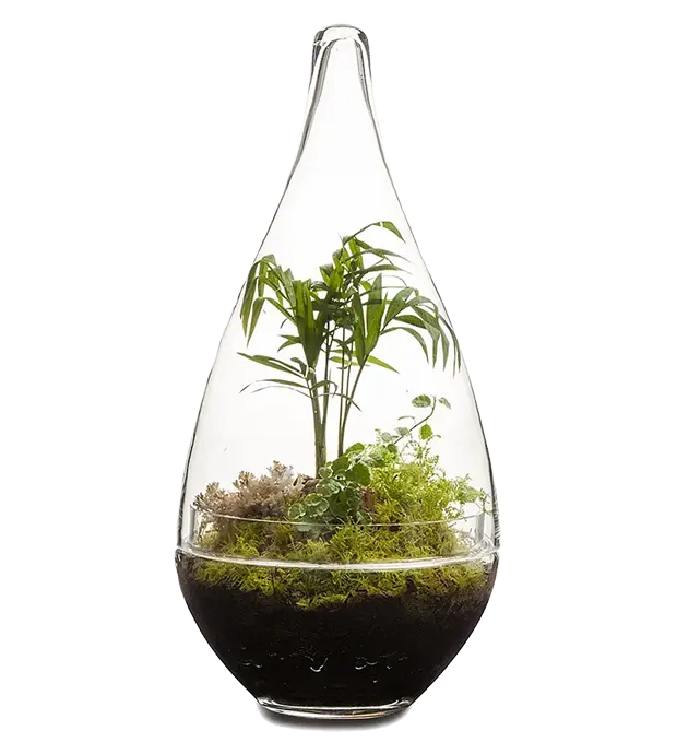 Bespoke home garden theme product terrarium