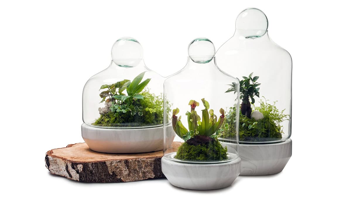 Bespoke home garden theme shop the look