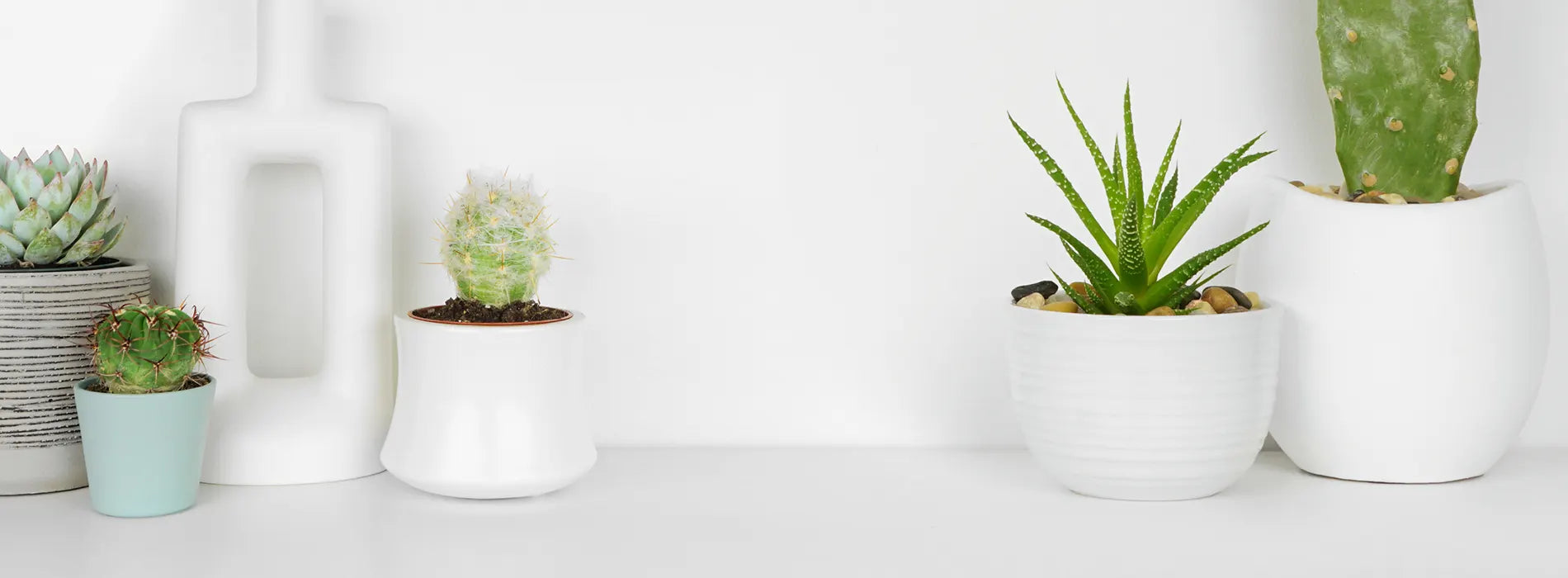 Bespoke home garden theme slideshow 3