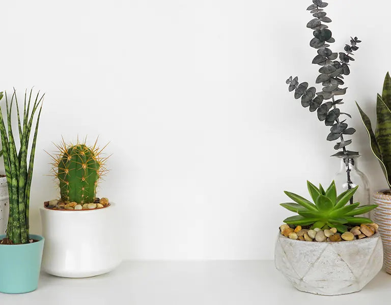 Bespoke home garden theme slideshow mobile 1