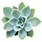 Bespoke home garden theme succulent 2