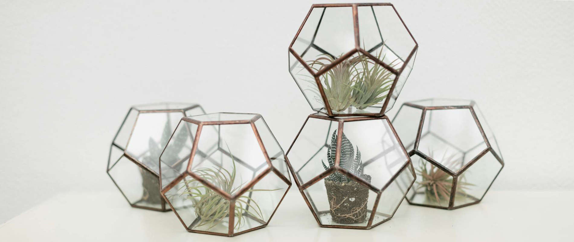 Bespoke home garden theme terrariums