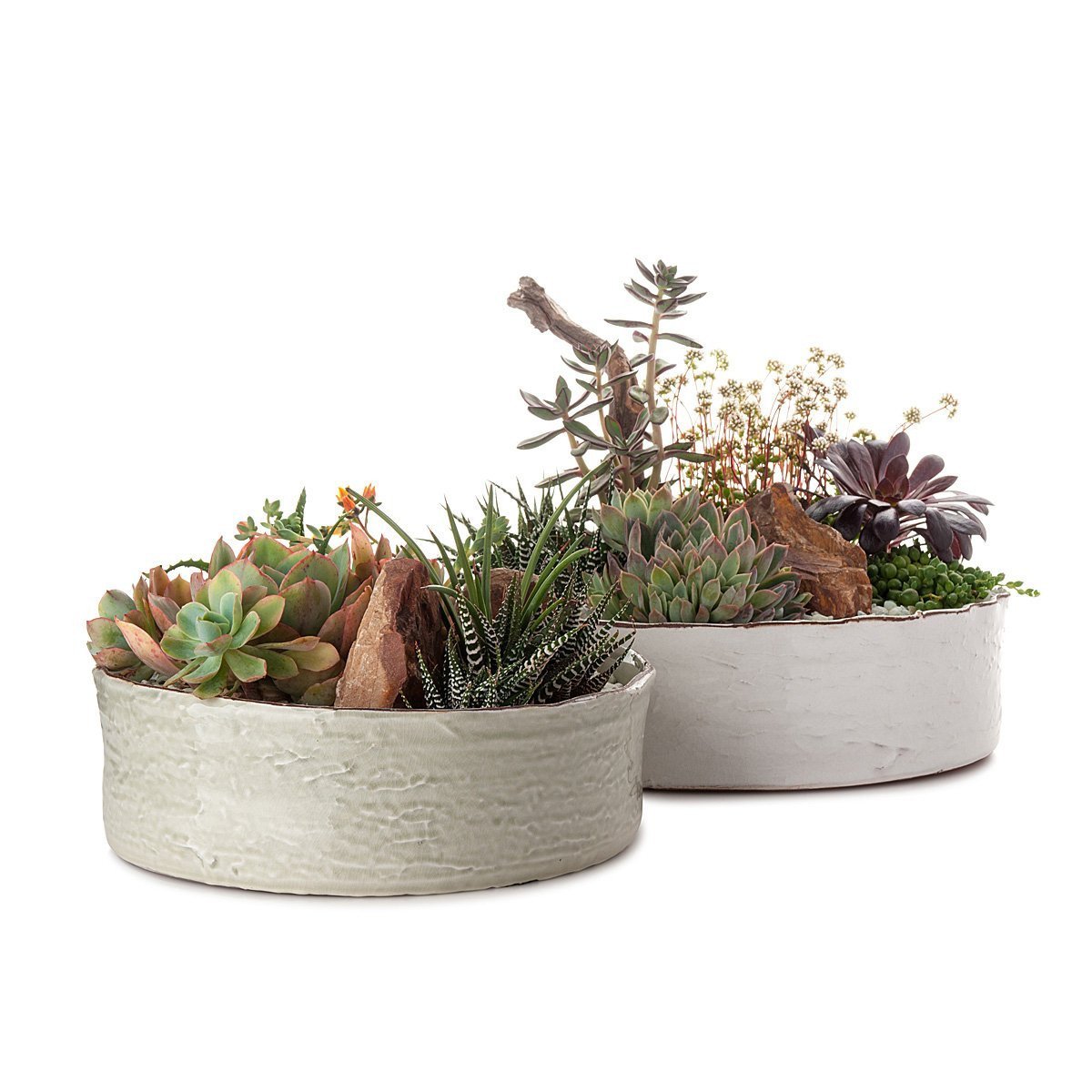 Dramatic Desertscape Dish Planter