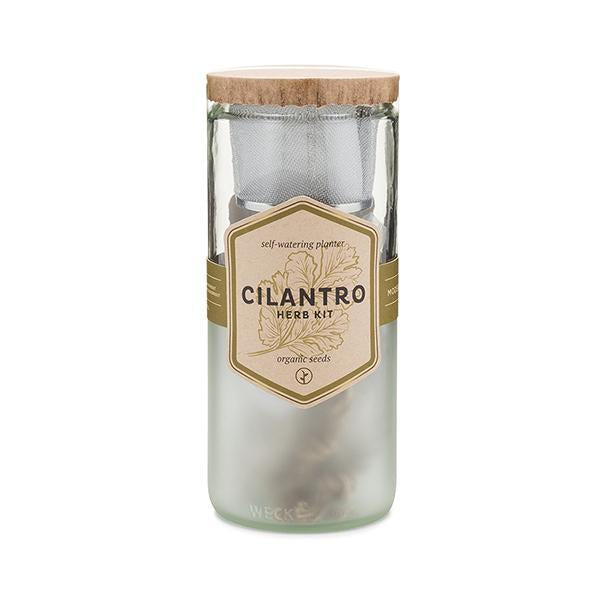 Cilantro Eco Planter
