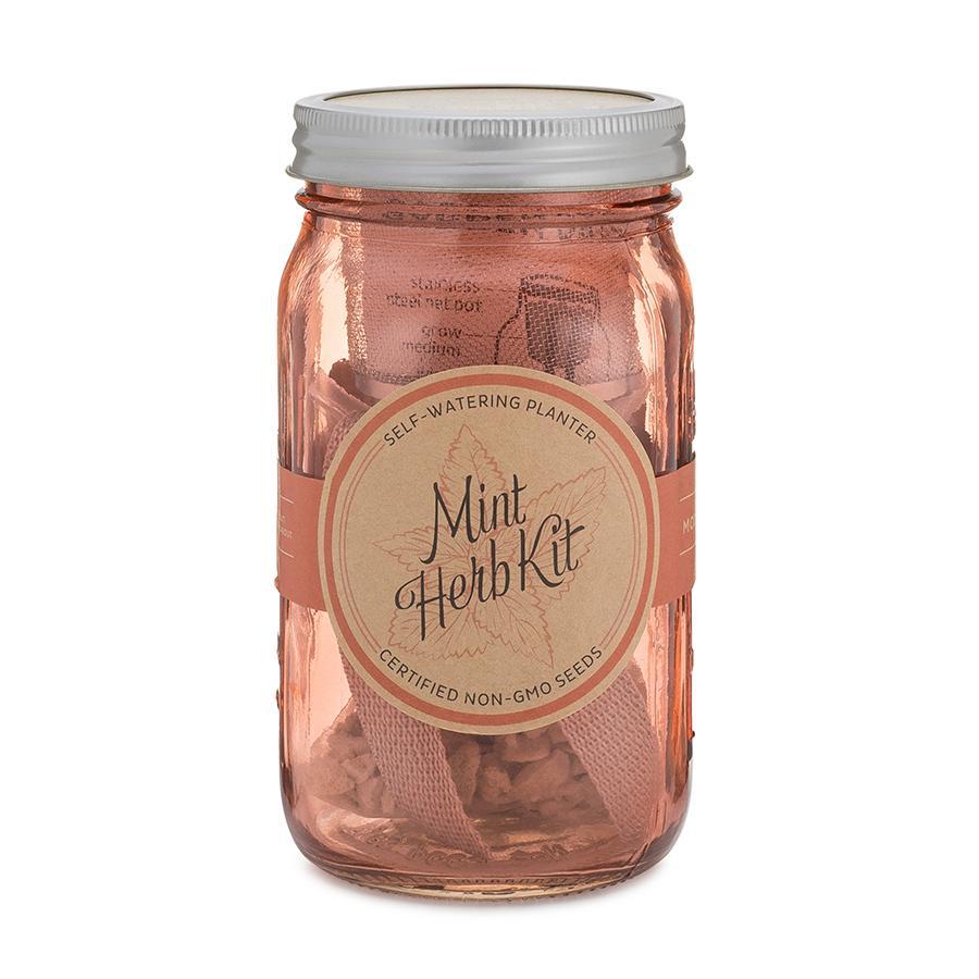 Asiatische Kräutergartengläser