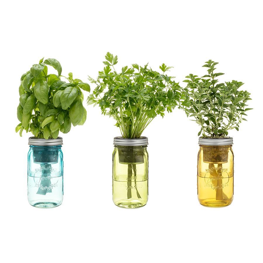 Italian Herb Garden Jars