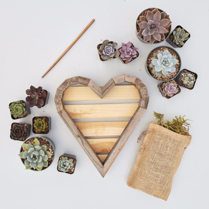 Succulent Heart Redwood Kit