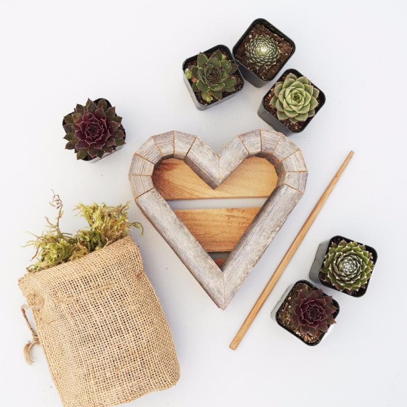Succulent Heart Redwood Kit