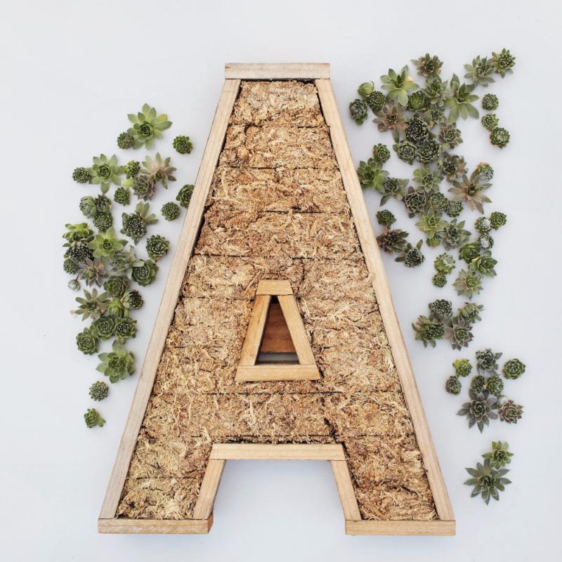 Large Letter Redwood Kit