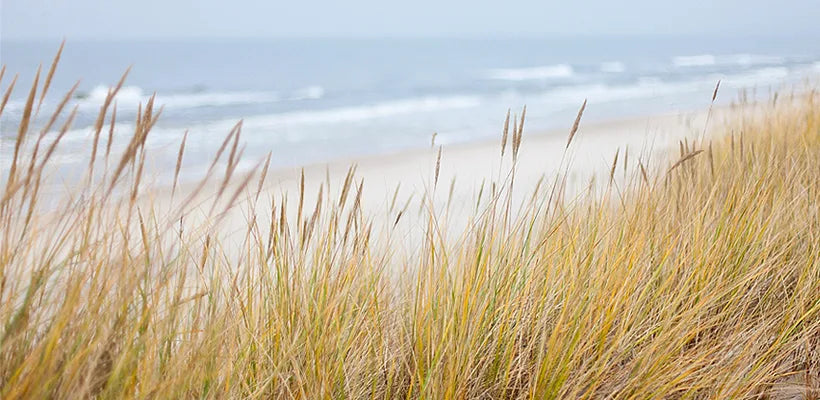 Product gallery candles 2