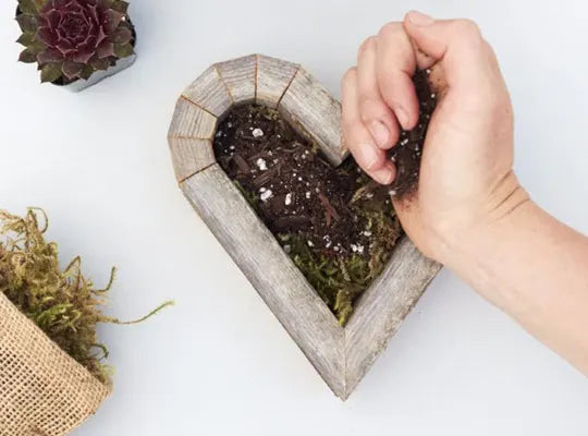 Product gallery kits 1