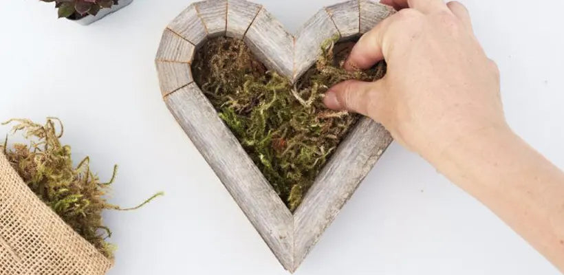 Product gallery kits 2