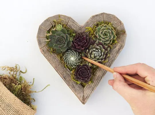 Product gallery kits 4