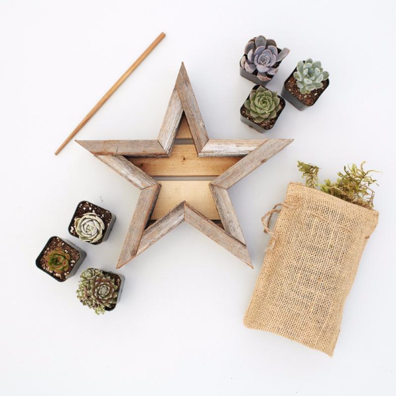 Succulent Star Redwood Kit