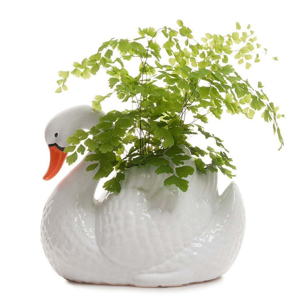 Swan Planter