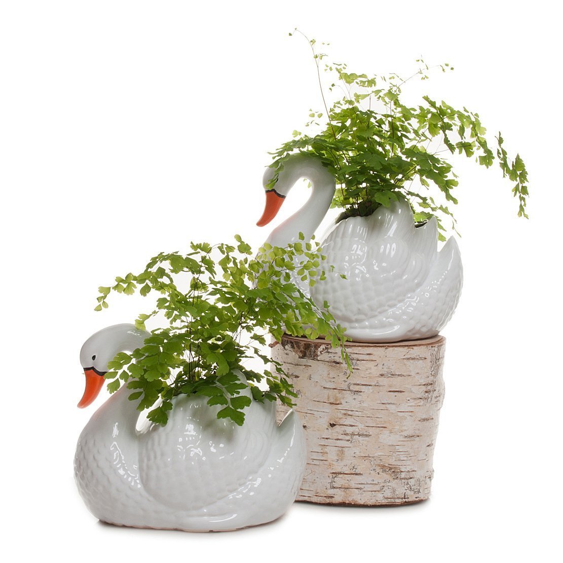 Swan Planter