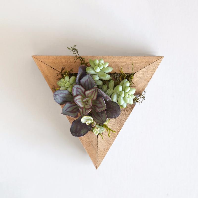 Succulent Triangle Planter Kit