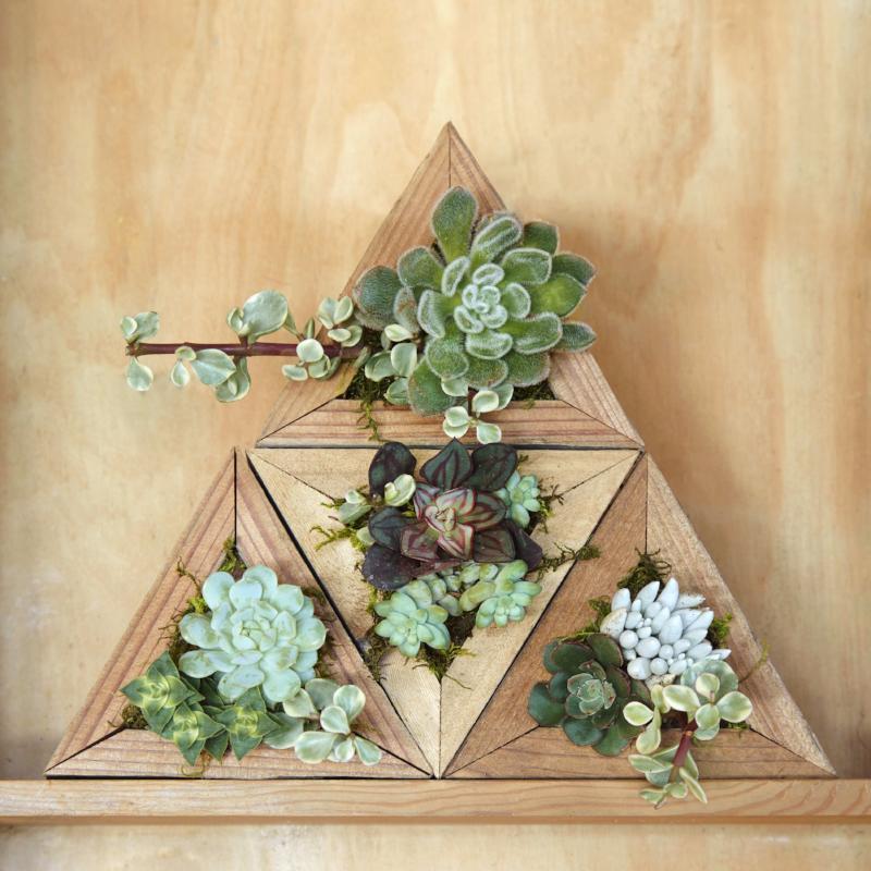 Succulent Triangle Planter Kit