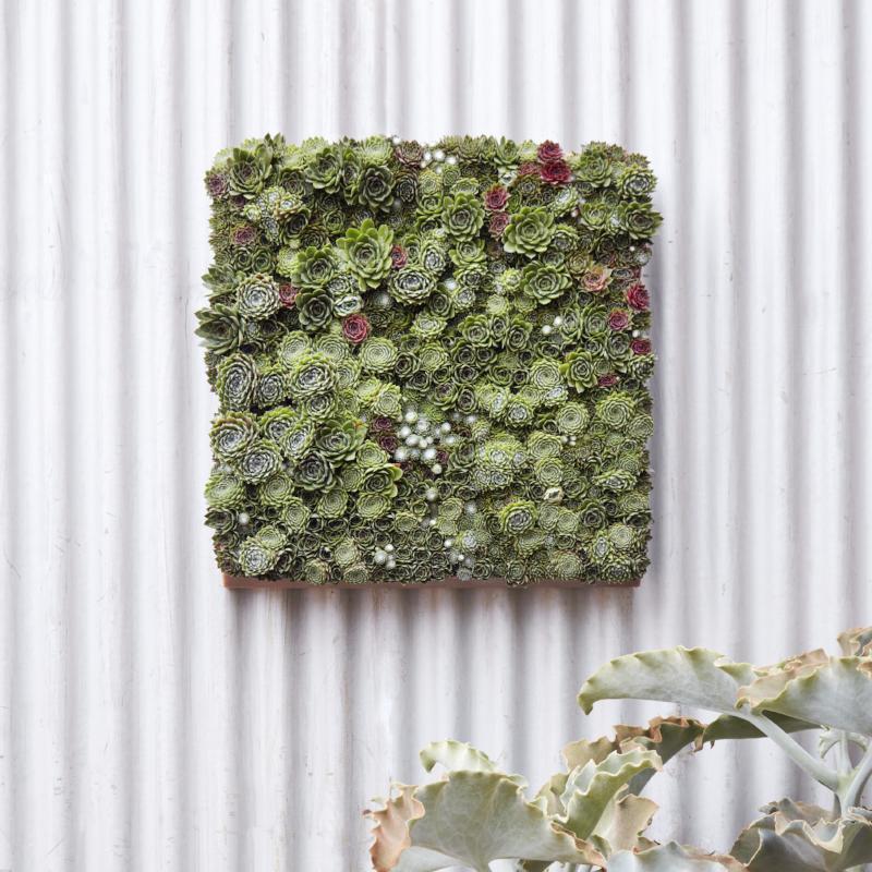 Modular Living Wall Panel Kit