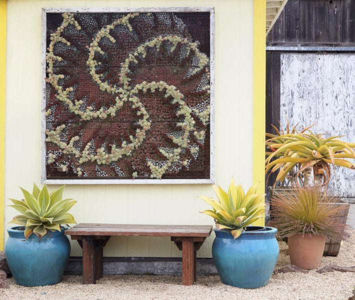 Modular Living Wall Panel Kit