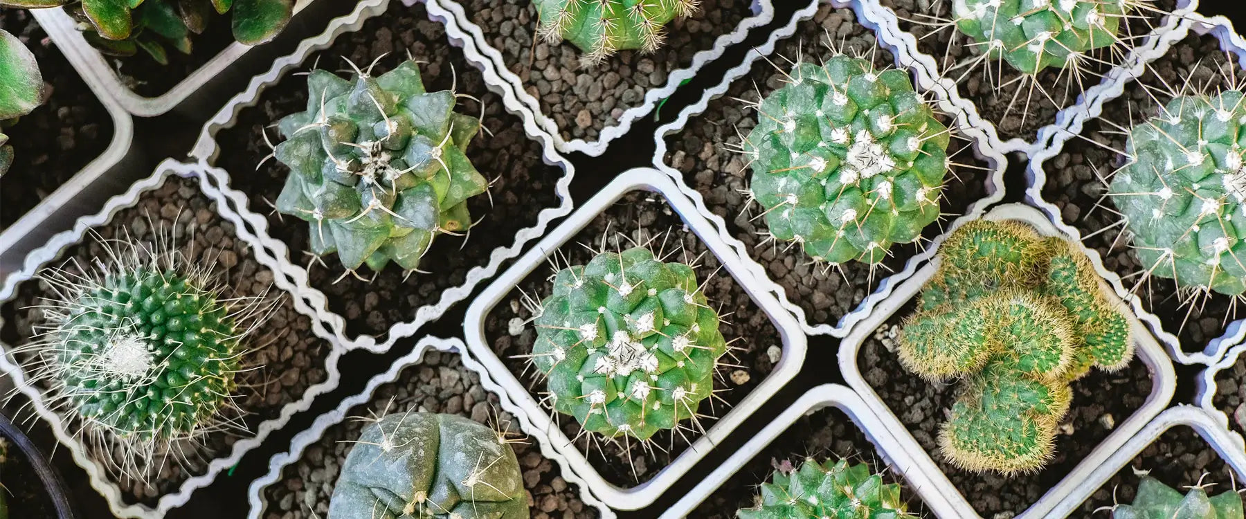 How to set up a Vertical Planter