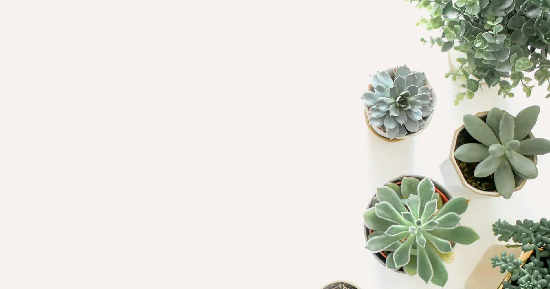 Bespoke home garden theme product slide 1