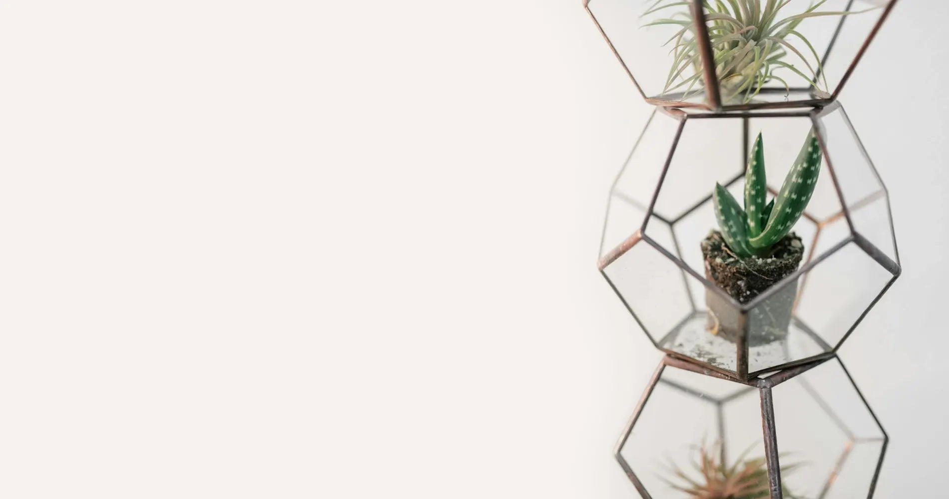 Bespoke home garden theme product slide 2