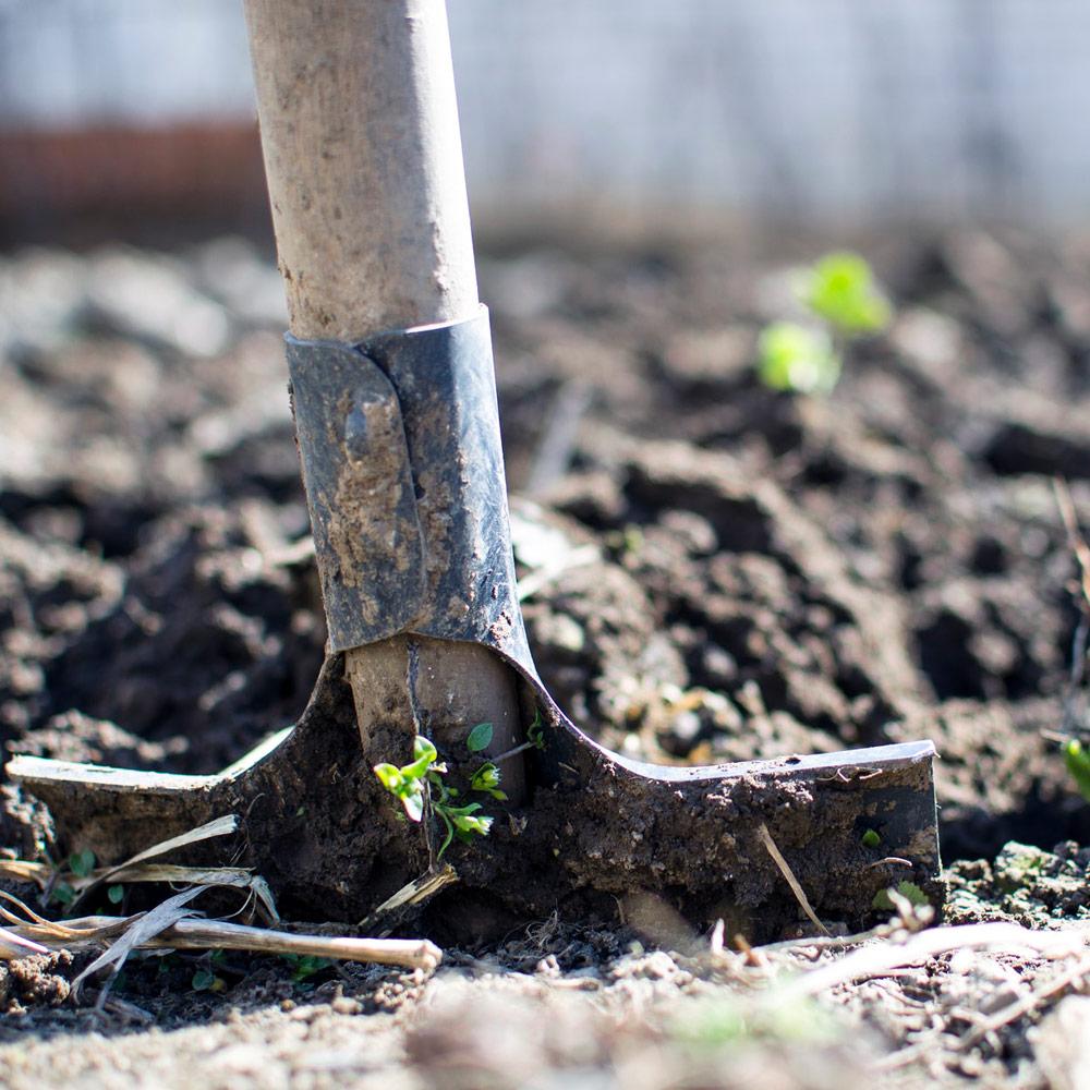 Atelier : Démarrer son jardin potager