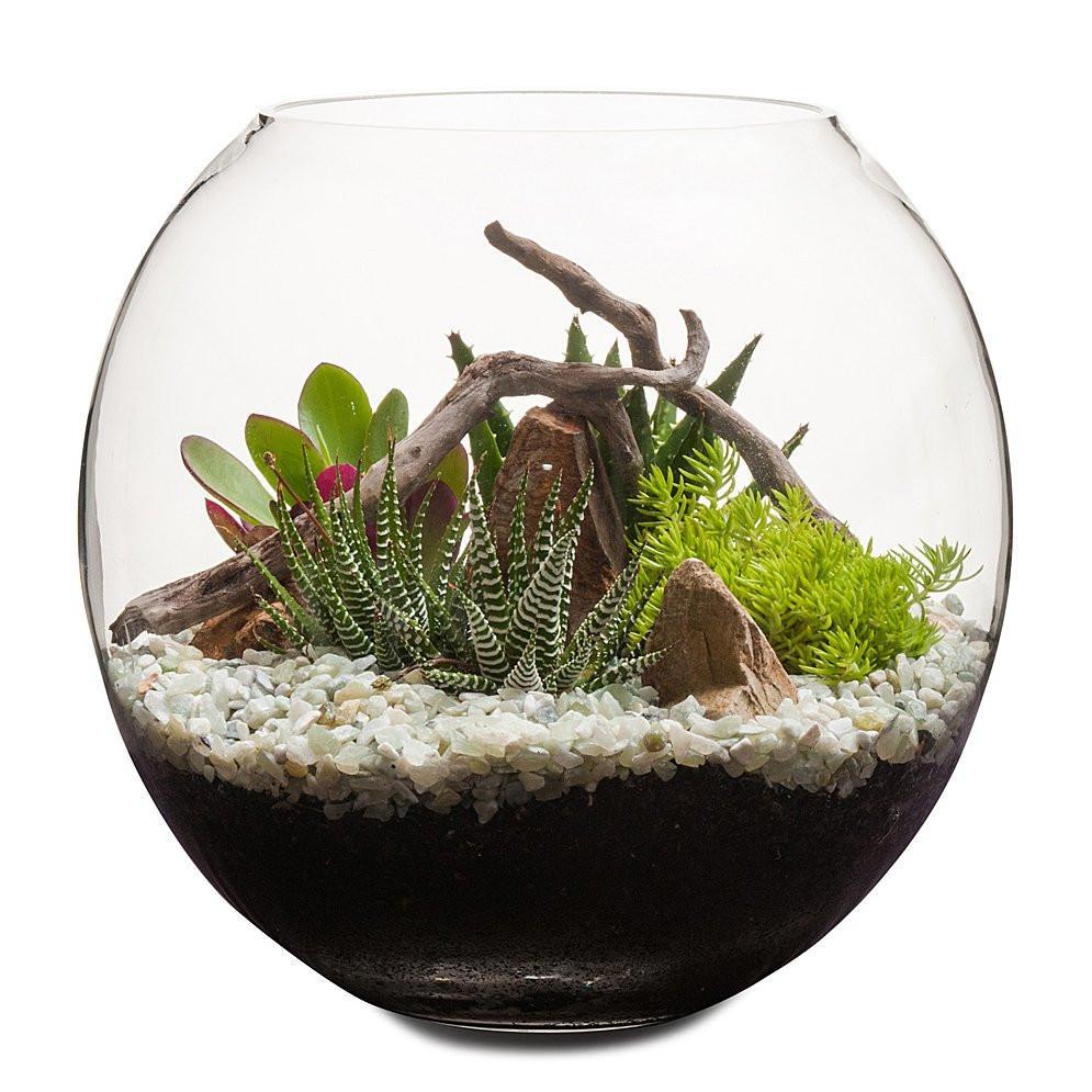 Terrarium bocal à poissons Desertscape