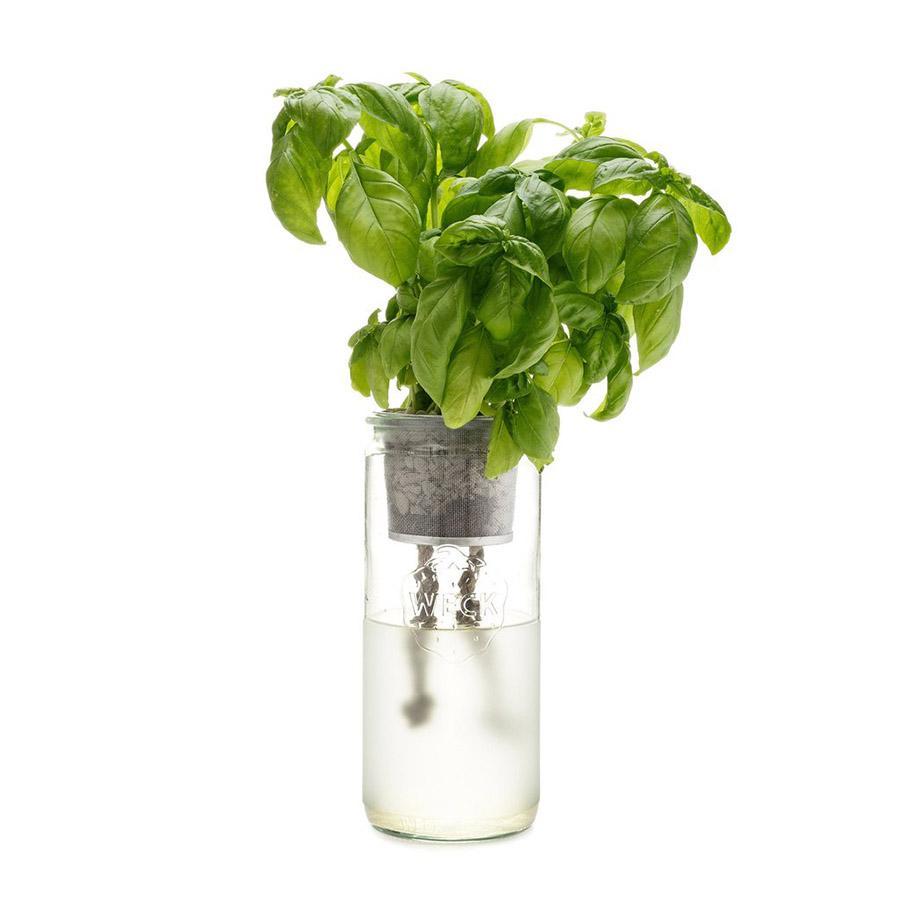 Basil Eco Planter