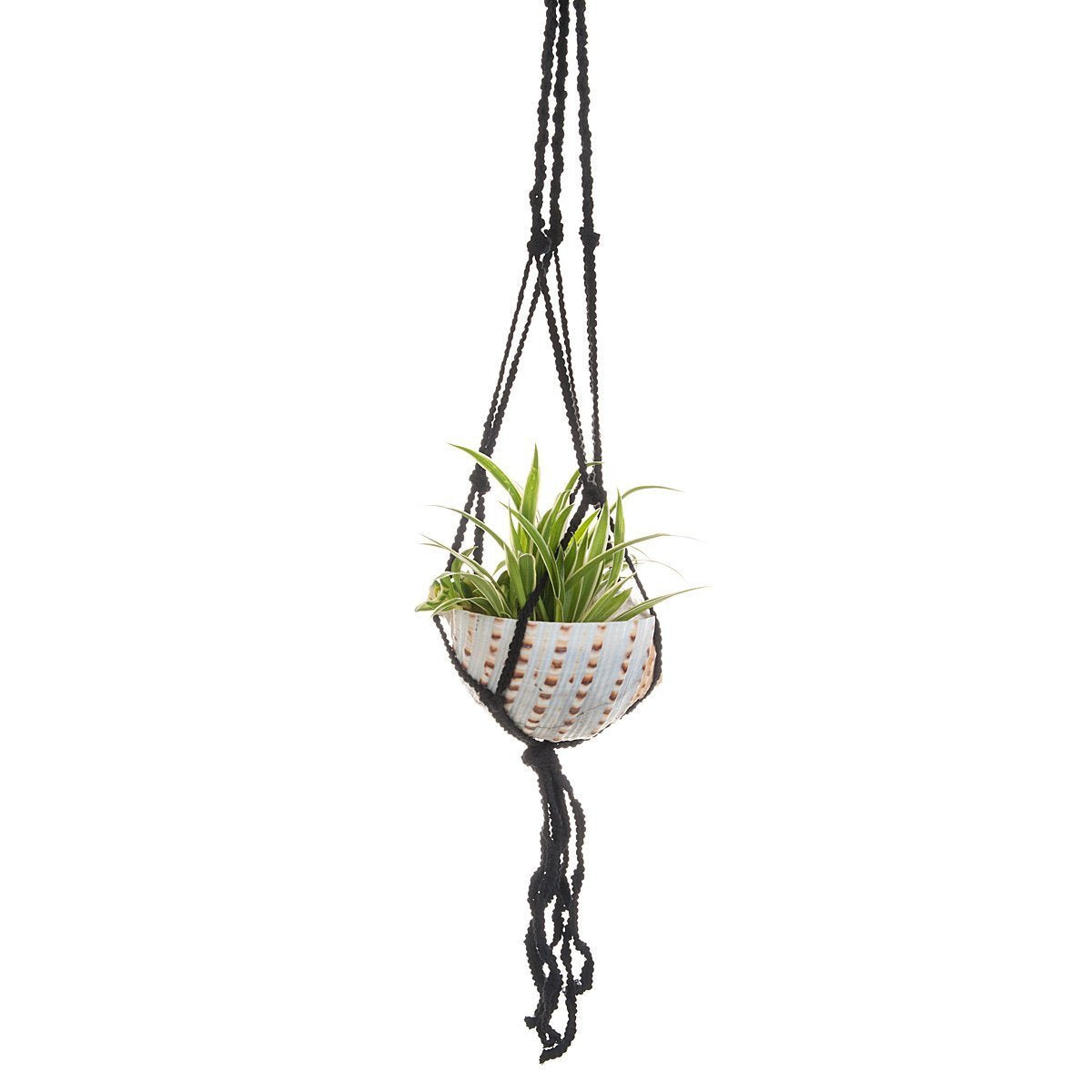 Macramé Shell Hanging Planter 