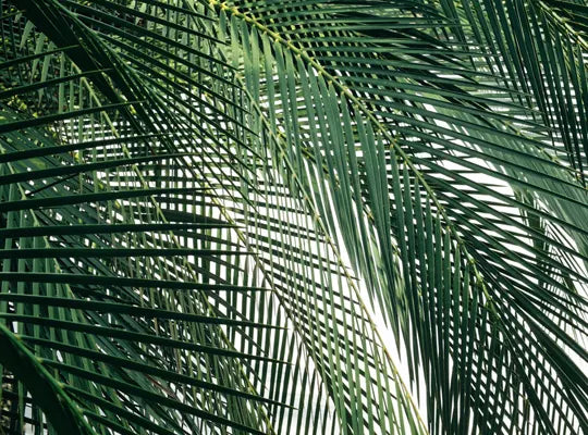 Product gallery candles 4