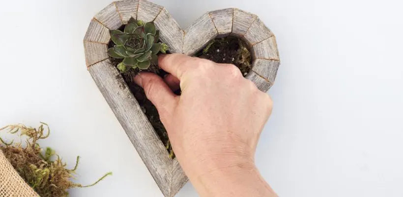 Product gallery kits 3