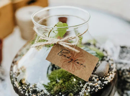 Product gallery terrarium 4