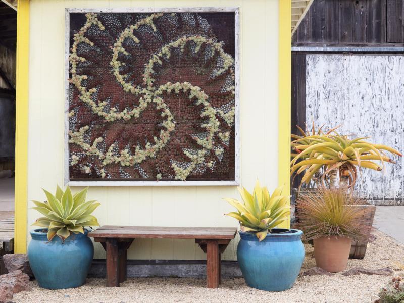 Kit de panneaux muraux modulaires vivants